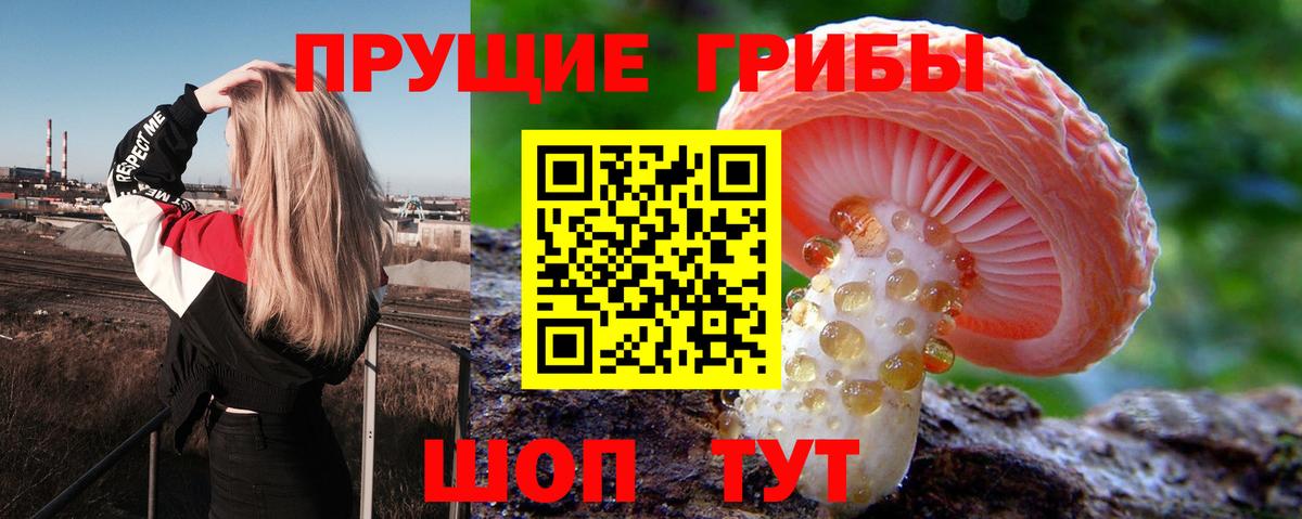 Галлюциногенные грибы Psilocybine cubensis  купить  сайты  Кемерово  Вход с VPN 
