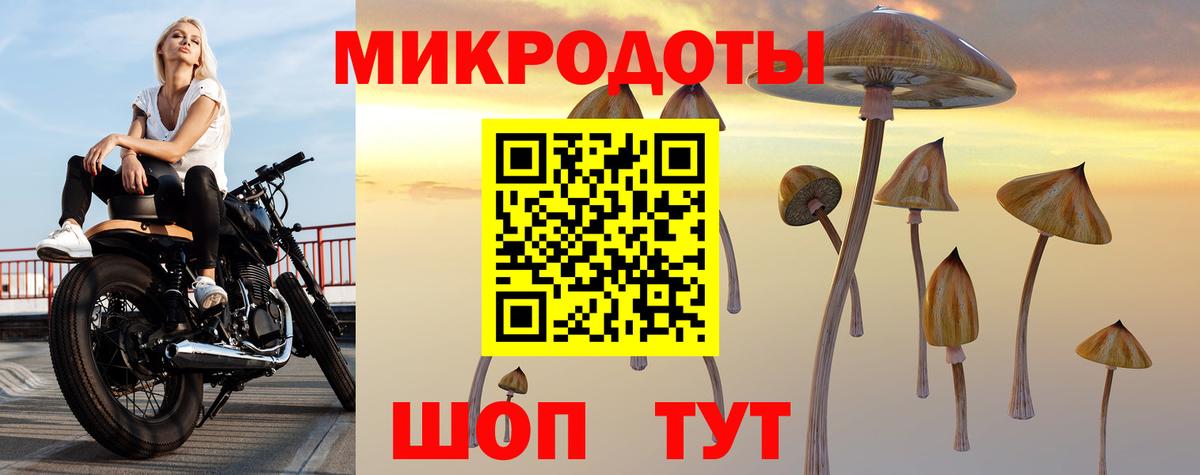 Галлюциногенные грибы Psilocybe Кемерово